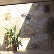 Plants: image 1 0f 4 thumb